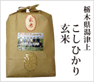 栃木県湯津上村こしひかり 玄米の販売